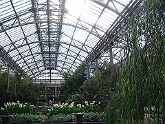 241 Longwood Gardens [2008 August 23]